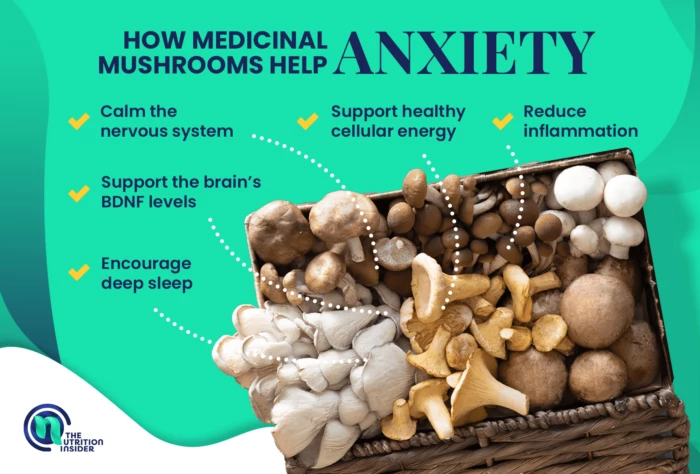 What Mushrooms Are Good for Anxiety