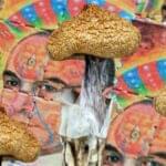 Psykedeliska Droger